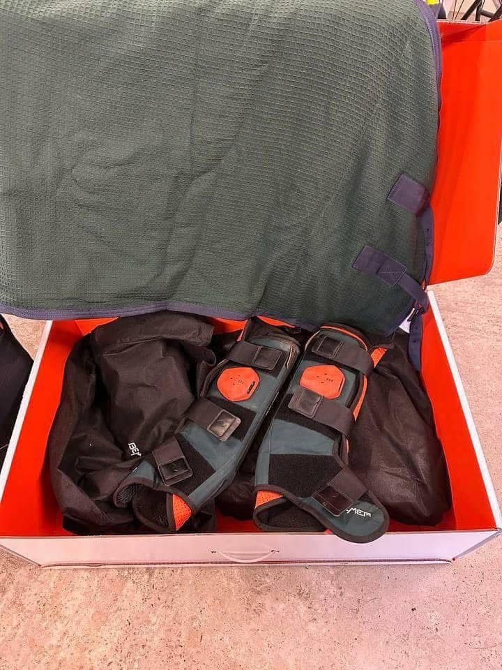 BEMER Horse-Set - Image 3