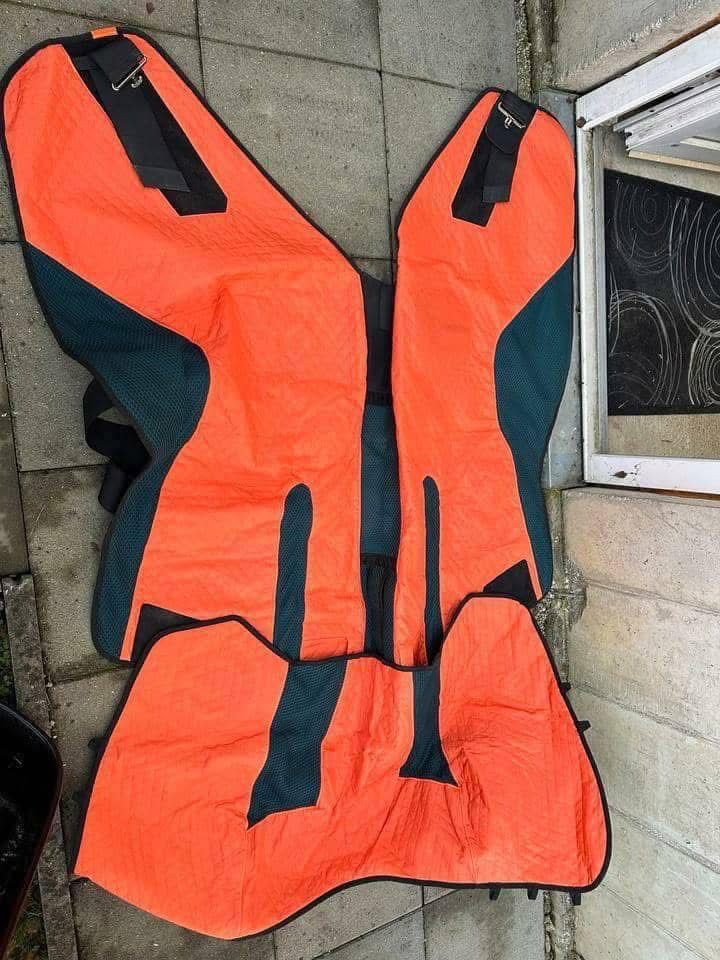 BEMER Horse-Set - Image 2